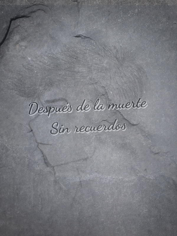 After death, without memories (Translated edition)