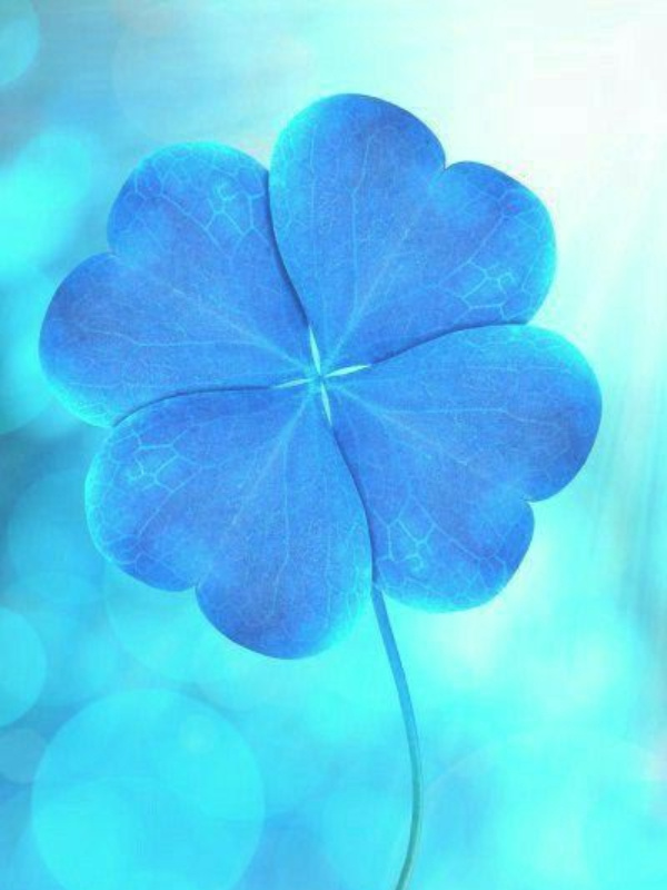 Douluo: This Soul Master Has a Little Bit of Luck