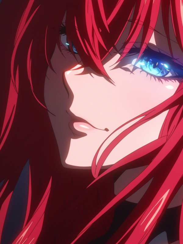 DxD : The Siscon Demon King and the Swapped Princess