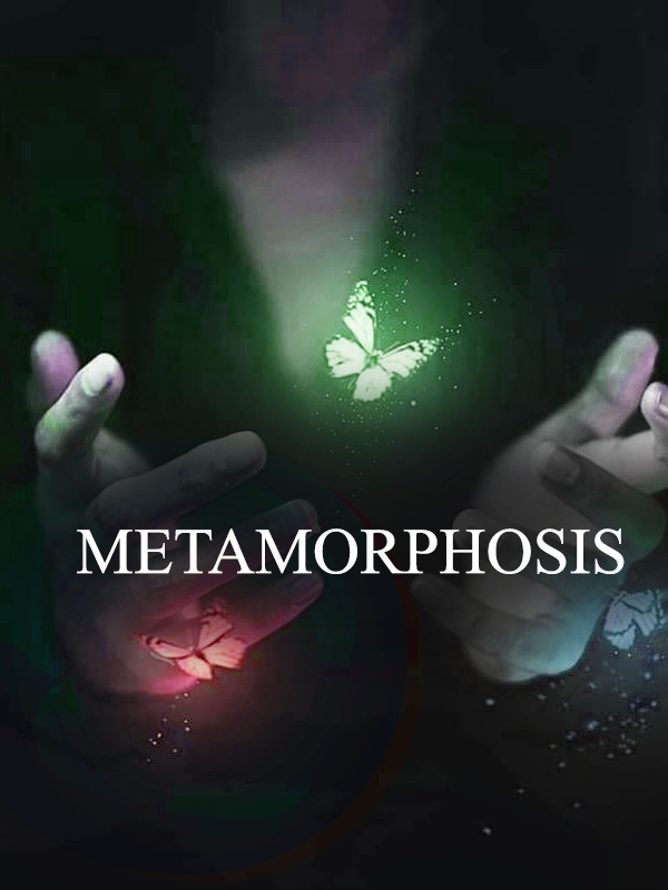 Harry Potter: Metamorphosis