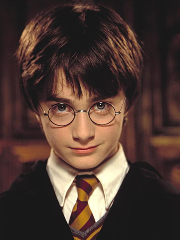 HP : THE TRAUMA AND CHOICE