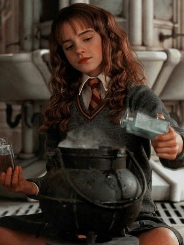 Hp:Arms Dealer