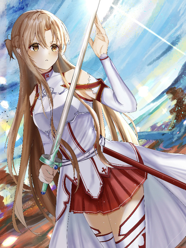 My SAO adventure is wrong, as expected