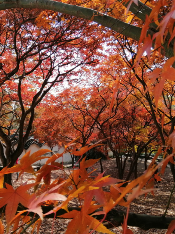 The warmth of autumn