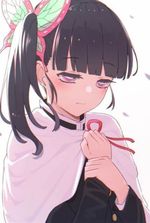 Demon Slayer: I Started Out As a Childhood Sweetheart with Kanao