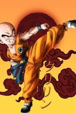 Dragon Ball: Peak Human