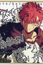 Fate/alternative