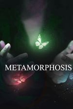 Harry Potter: Metamorphosis