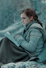 HP: I'm Not Here to Rule the Wizarding World