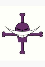 Im an Inventor of Whitebeard Pirates!