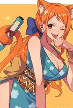 One Piece: From Ninja To Pirates