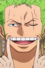 One piece: Pirate hunter system