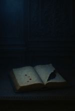 The Book That Wasn’t Written