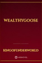 WealthyGoose