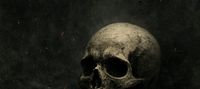 AshBorne: Forgotten Bones