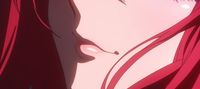 DxD : The Siscon Demon King and the Swapped Princess