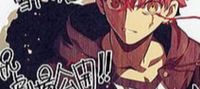 Fate/alternative