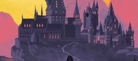 Harry Potter: From Little Wizard to White Lord