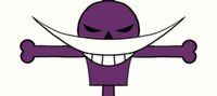 Im an Inventor of Whitebeard Pirates!