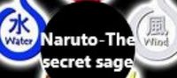 Naruto-The secret sage