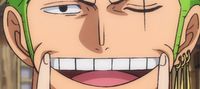 One piece: Pirate hunter system