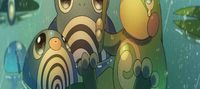 Pokémon: Master of the Rain Team