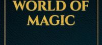 Sorcerer in the world of magic