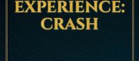 The True VRMMORPG Experience: CRASH
