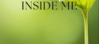 The Wall Inside Me