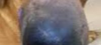 Whispers Of Ecstasy